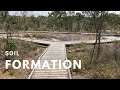 Exploring Soil Formation and Its Role in the Biosphere