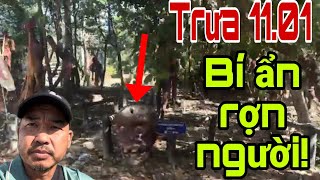 🛑 Trưa 11.01. Bí ẩn rợn người. Đoàn Văn Báu - Về Miền Đất Phật
