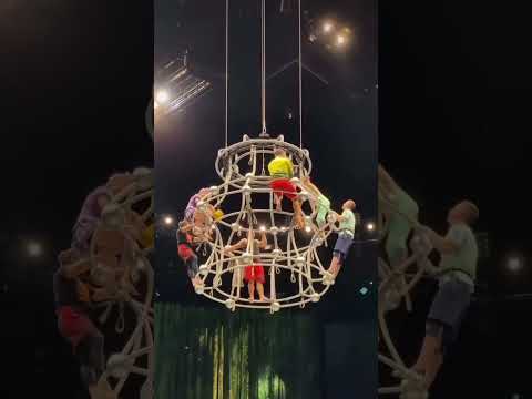 Even professionals have bad days! ? Who would you trust? #circus #acrobat #circusfreaks #shorts