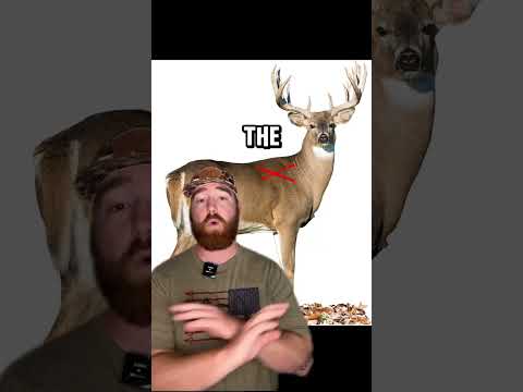 The top 5 WORST places to shoot a deer Pt.2! #hunting #deerhunting #bowhunting
