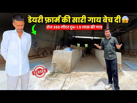 Gir Cross Dairy Farm Closed🚫😳क्यों Sell की 350 लीटर दूध वाली गाय🐄