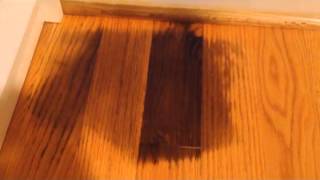 removing urine stains from wooden floors – floor matttroy removing urine stains from wooden floors – floor matttroy