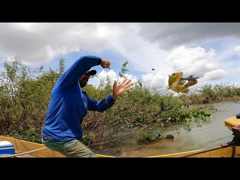 NUNCA DUVIDE DE UM PESCADOR EXPERIENTE ELES FAZEM O IMPOSSÍVEL ACONTECER