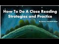Understanding Inz's Perspective and Close Reading