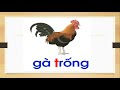 Hiểu biết về chữ 'tơ'