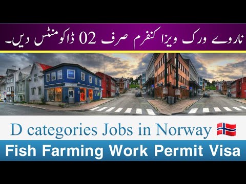 Norway "D" Type Work Visa || Fish Farming Jobs || Hotel Jobs || Salary 2000 euros || Every Visa ||