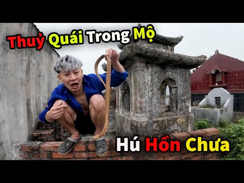 Hú Hồn Luôn Hậu Cáo Bắt Được Thuỷ Quái Trong Mộ !