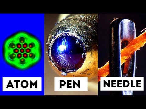 Objects Under An Electron Microscope!