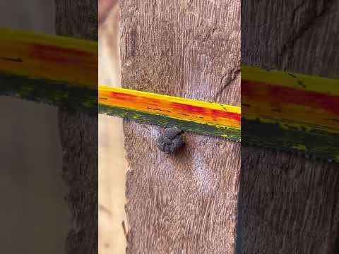 Aprendi essa técnica com carpinteiro, impressionante #carpinteiro #dicas #diy #reels #facavocemesmo