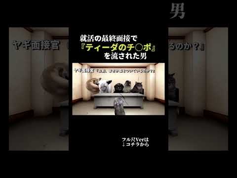 就活の最終面接で『ティーダのチ○ポ』を流された時の話 #猫ミーム