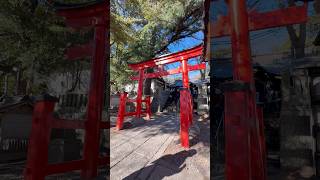 [初詣]上総の国の一ノ宮| 玉前神社参拝⛩ #おすすめ神社 #パワースポット #レイライン