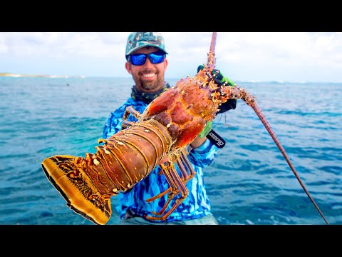 Spear Fishing Monster Lobsters and Hogfish in the Bahamas