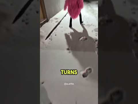 This Guy Found Wierd Steps And This Happened… 😱