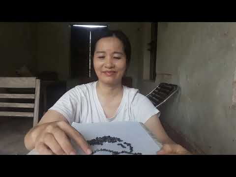 Ai không giả dối, ai không dễ thay đổi, không ai là ai của ai hết