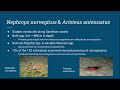 Marine Conservation and Plastic Impact