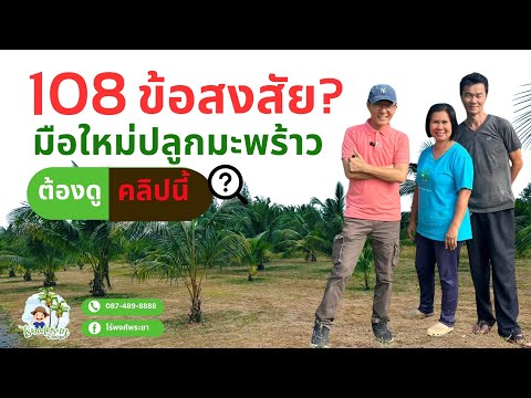 EP:47ระยะปลูกการดูแลศัตรูมะพร้าวคุยจบครบทุกเรื่องกับประธานวิ