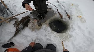 видео