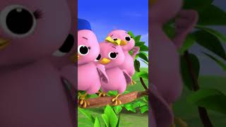 5 Little Birds  🖐️🐦 #LBB #Short #birdsong