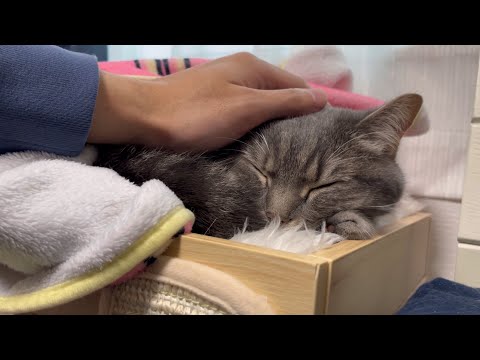 アクアさんを朝一で病院に連れて行きました