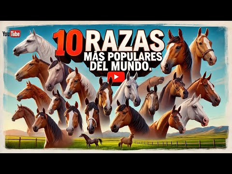 Las 10 Razas De Caballos Mas Populares Del Mundo 🐴-Del Cerro Soy