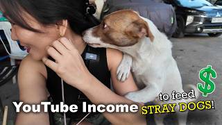 Using my YOUTUBE INCOME to FEED STRAY DOGS (and cats)