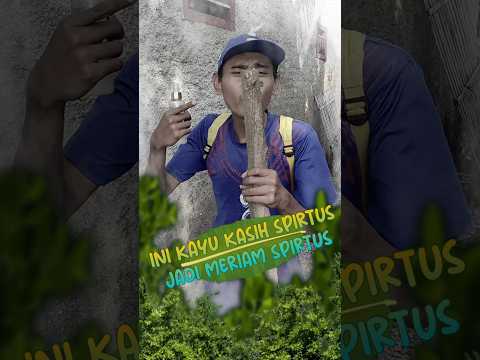 KAYU DI KASIH SPIRTUS JADI M3RIAM SP1RTUS