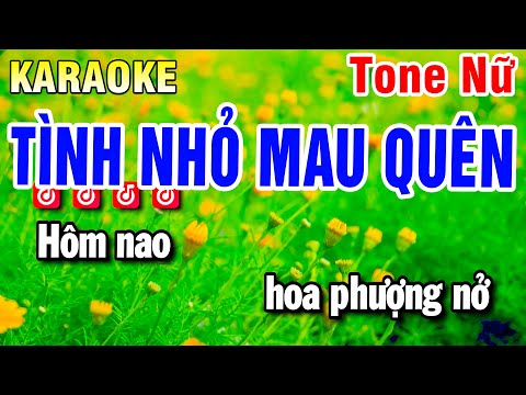 Karaoke Tình Nhỏ Mau Quên Nhạc Sống Tone Nữ | Beat Huỳnh Anh