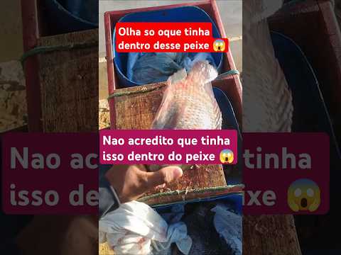 #pesca #peixe #tilapia  Olha só oque tinha dentro desse peixe 😱