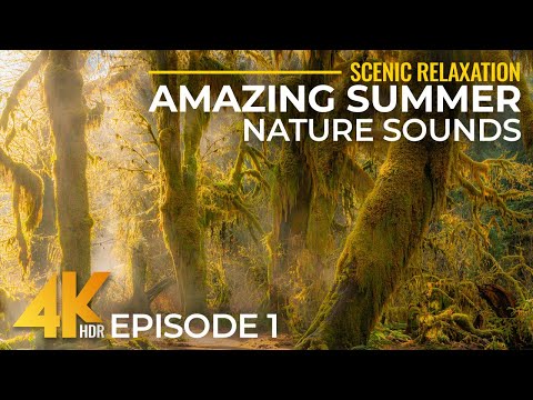 Discovering Earth's Most BREATHTAKING Summer Landscapes in 4K + Real Nature Sounds - Ep 1