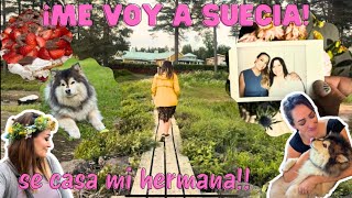 🇸🇪Así es una boda sueca 💍 (spoiler: ¡No me lo esperaba!
