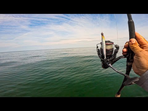 Surrounded…For Better Or Worse | Glassy Day Surf Launch (Catch Cook)