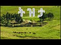 What a Beautiful Country!  The best Ethiopian Instrumental Classical Music Part 3 (1 hr!)2025