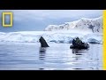 Research and Safety in Antarctica