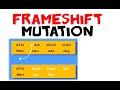 Frame Shift Mutations and Their Effects