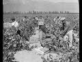 Civil Rights Movement in Texas