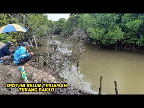 Demi mencari strike ikan yang babon'' saya sampai mancing berjalan jalan kesungai sampai ke muara"