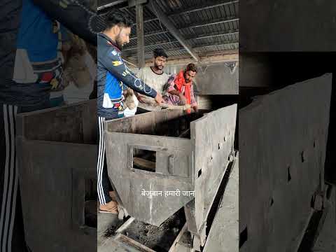 वृंदावन परिक्रमा मार्ग ललिता आश्रम के सामने एक फक्कड़ बाबा का गोलोक वास हो गया था संपर्क 9045773717