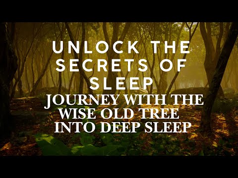 Unlock the secrets of sleep  Journey with the wise old tree  into deep sleep Guided sleep meditation