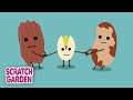 Understanding Nuts and Their Types