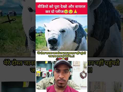 #funny #comedy #reaction #facts #entertainment #bollywood #song #sad #lifeisbutadream #whowillwin