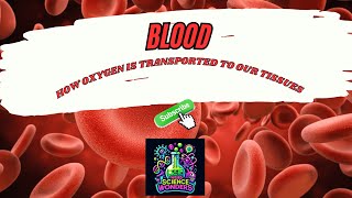 Weird Science Wonders: The Incredible Journey of Oxygen Transportation in Our Blood