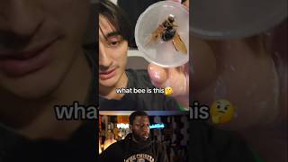 WHAT DID YOU DO TO THAT BEE?!