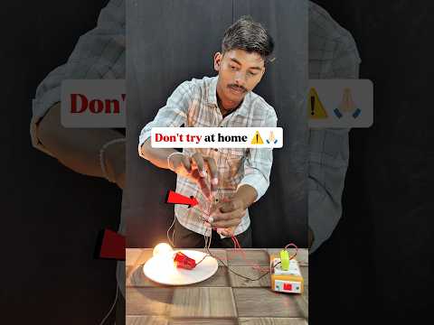 बिजली के तार पर बैठी चिड़िया को झटका नहीं लगता और बंदर को लग जाता है ऐसा क्यों !🐦💀✅🤯#electrical