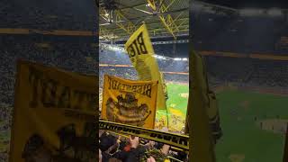 You‘ll Never Walk Alone ⚫️🟡 #bvb #bvb09 #bundesliga #fußball #borussiadortmund #dortmund