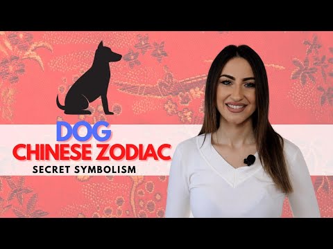 DOG Chinese Zodiac Sign - Secret Symbolism Revealed!