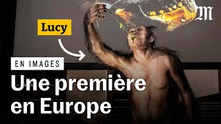 L’australopithèque Lucy exposée en Europe pour la première fois