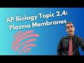 Plasma Membrane Structure and Function