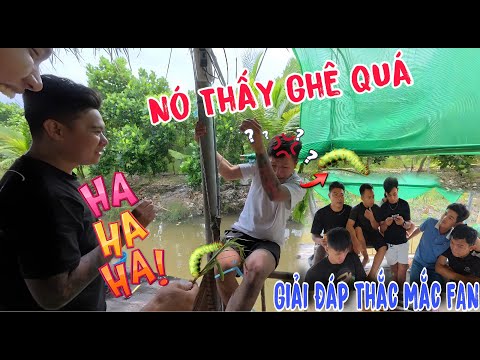 TNB - Giải Đáp Thắc Mắc Mấy Hôm Nay Và Ngày Này Cũng Đến Với Bé Tư