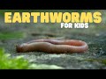 Earthworm Biology and Ecology