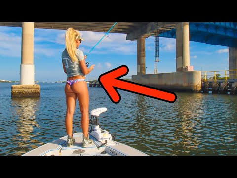2 Hours of fishing MASSIVE Florida Bridges!